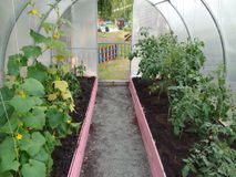 Июнь -июль 2023